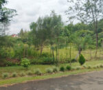 Garden City Estate - Image 3