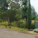 Garden City Estate