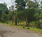 Garden City Estate - Image 4