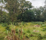Garden City Estate - Image 6