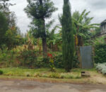 Garden City Estate - Image 2